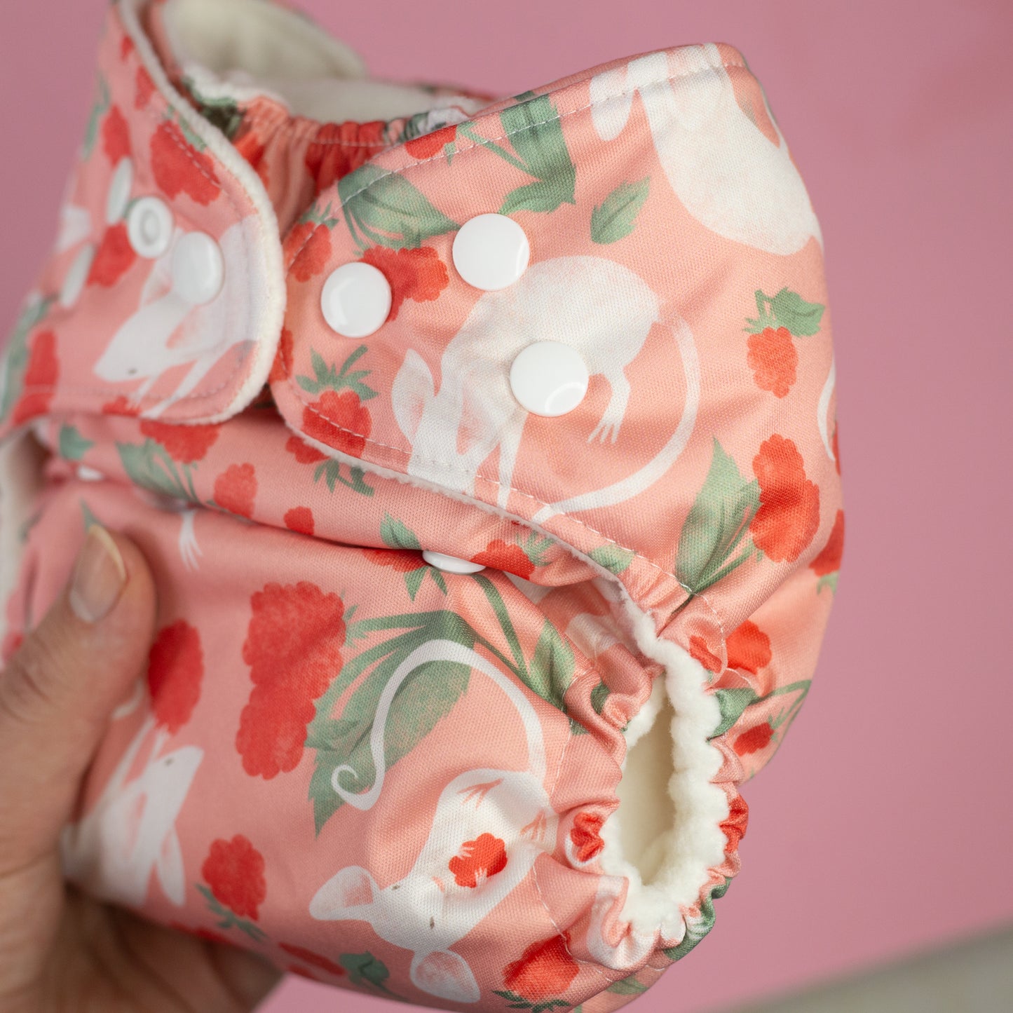 Cloth diaper - Mice